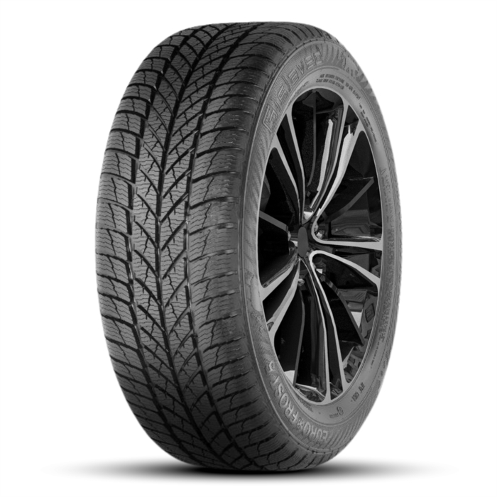 Anvelope Second Hand IARNĂ 205/55 R16 91H GISLAVED EURO FROST 5